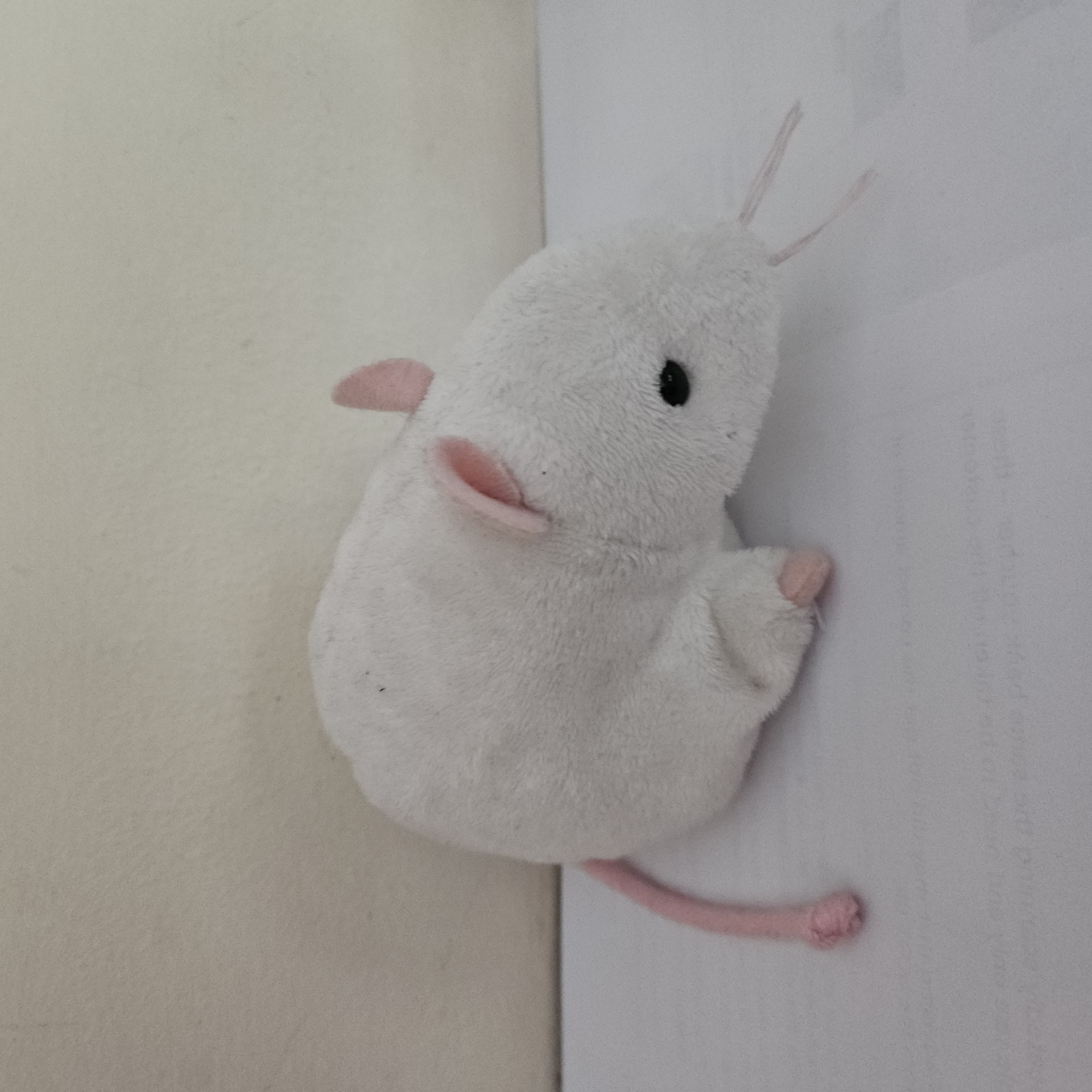Click the Mouse